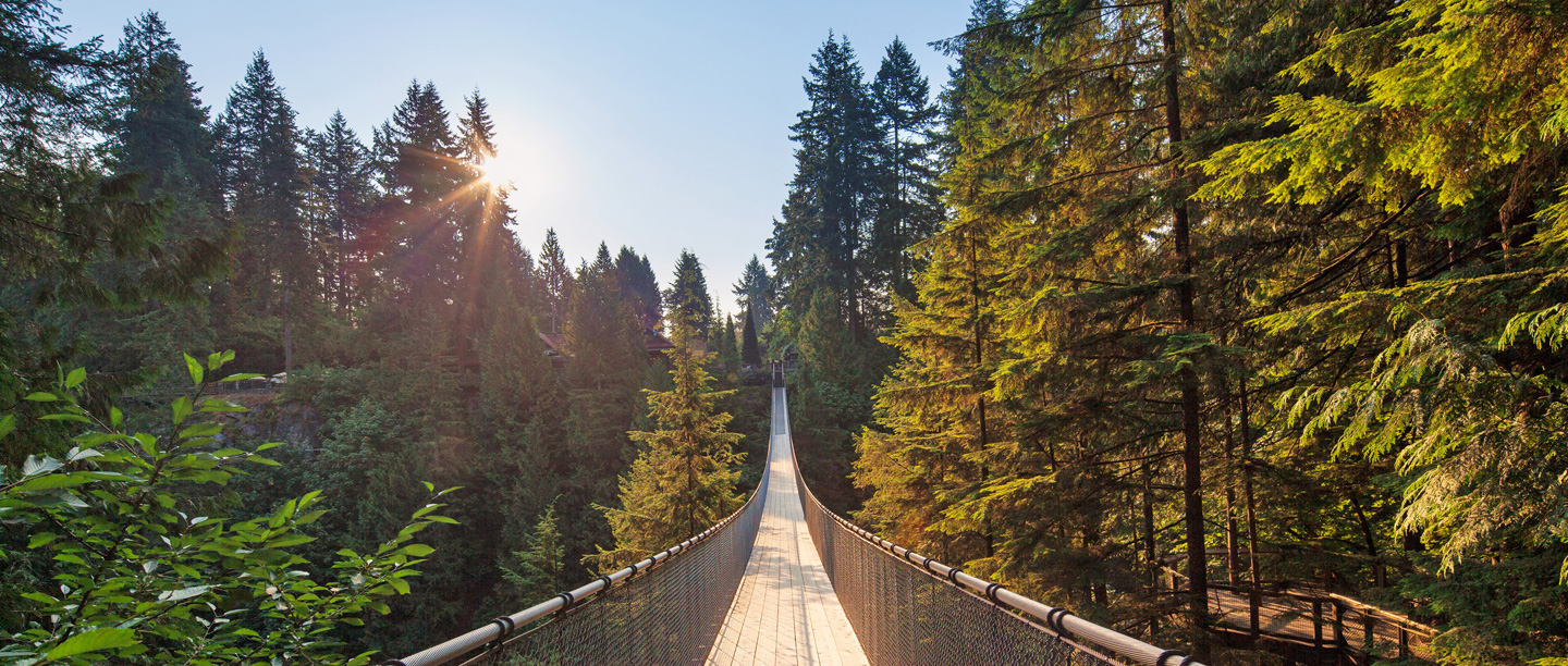 Capilano Suspension Bridge Park surrounded by trees