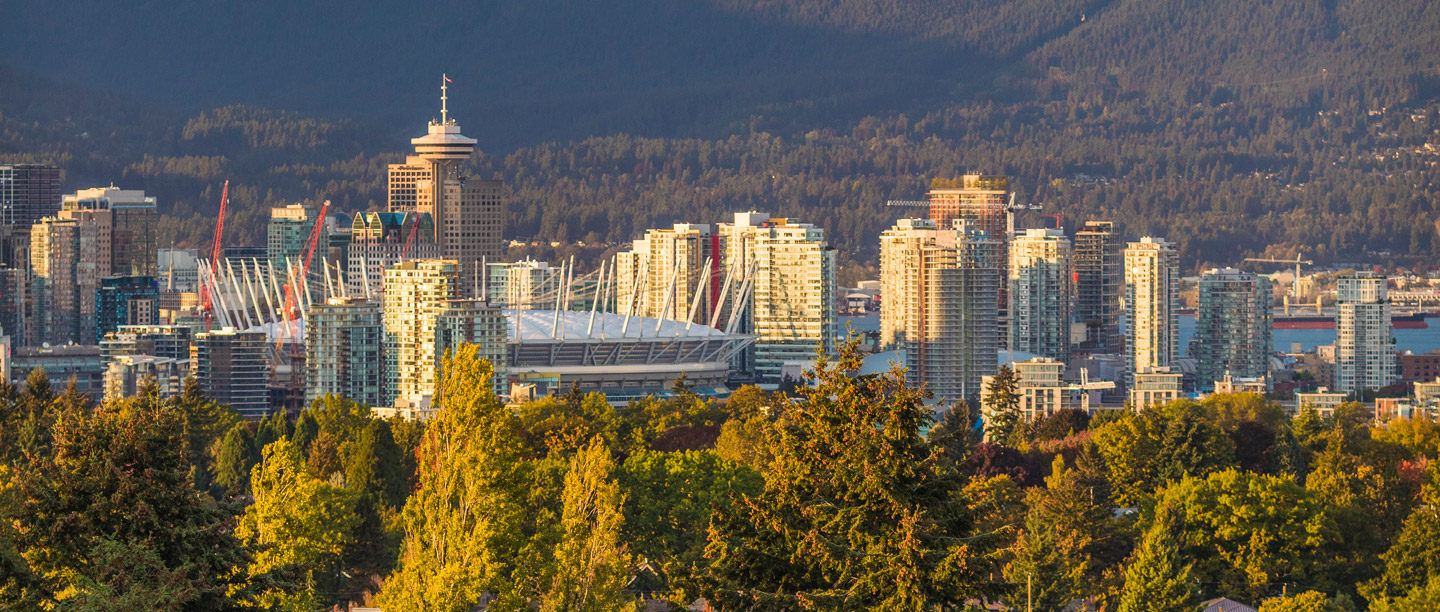 aerial view of queen elizabeth park