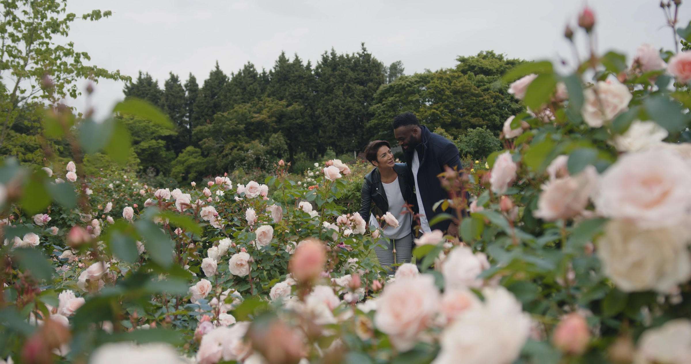 Couple looking at the roses in the garden at Queen Elizabeth Park. | Credit: Destination British Columbia/Zachary Moxley