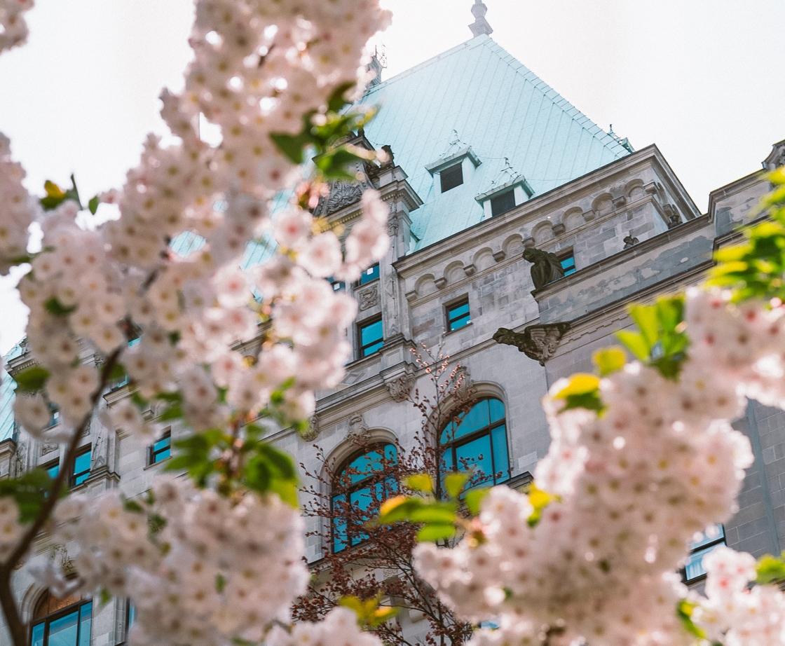 Exterior View of Fairmont Hotel Vancouver in spring with cherry blossoms
