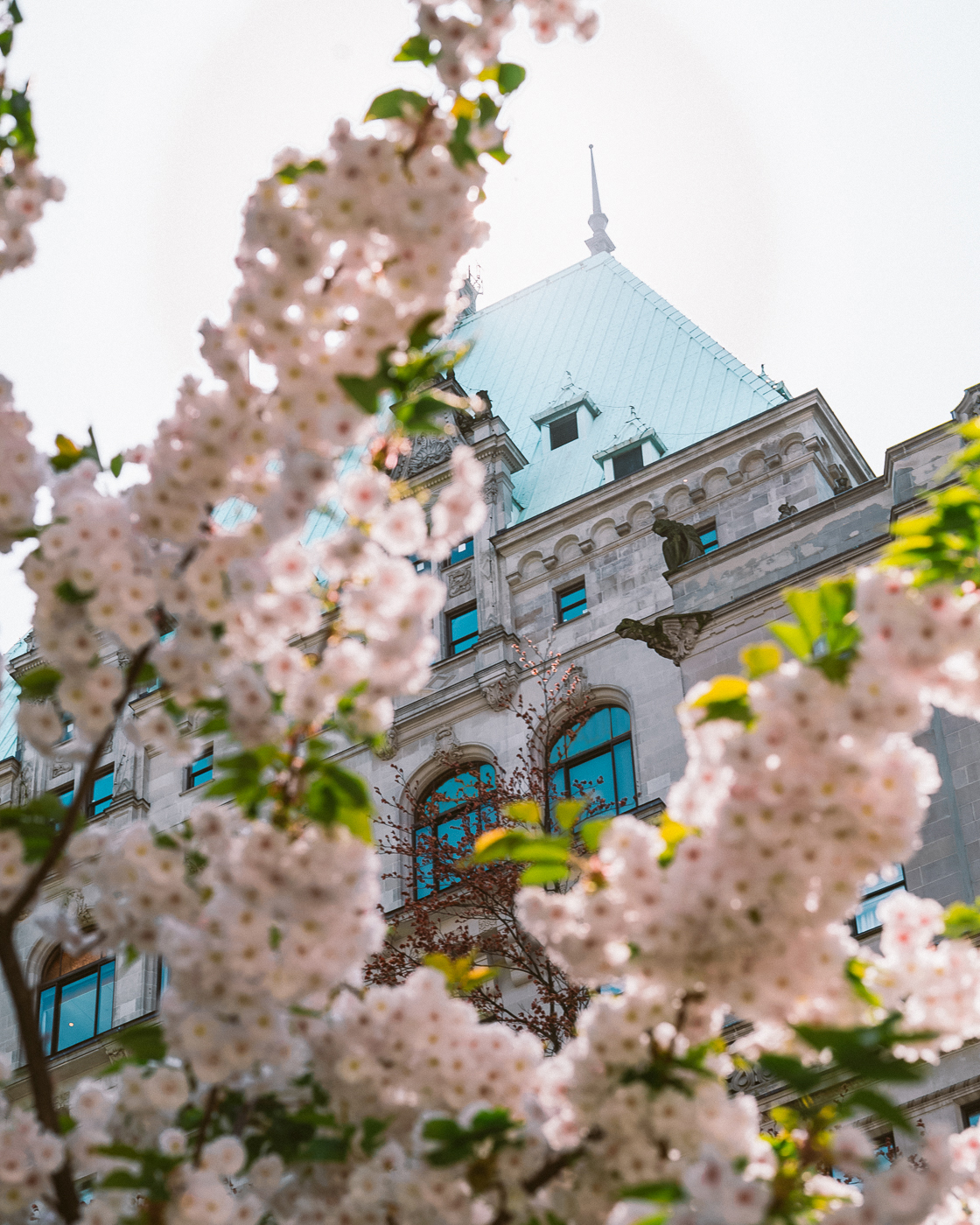 Exterior View of Fairmont Hotel Vancouver in spring with cherry blossoms