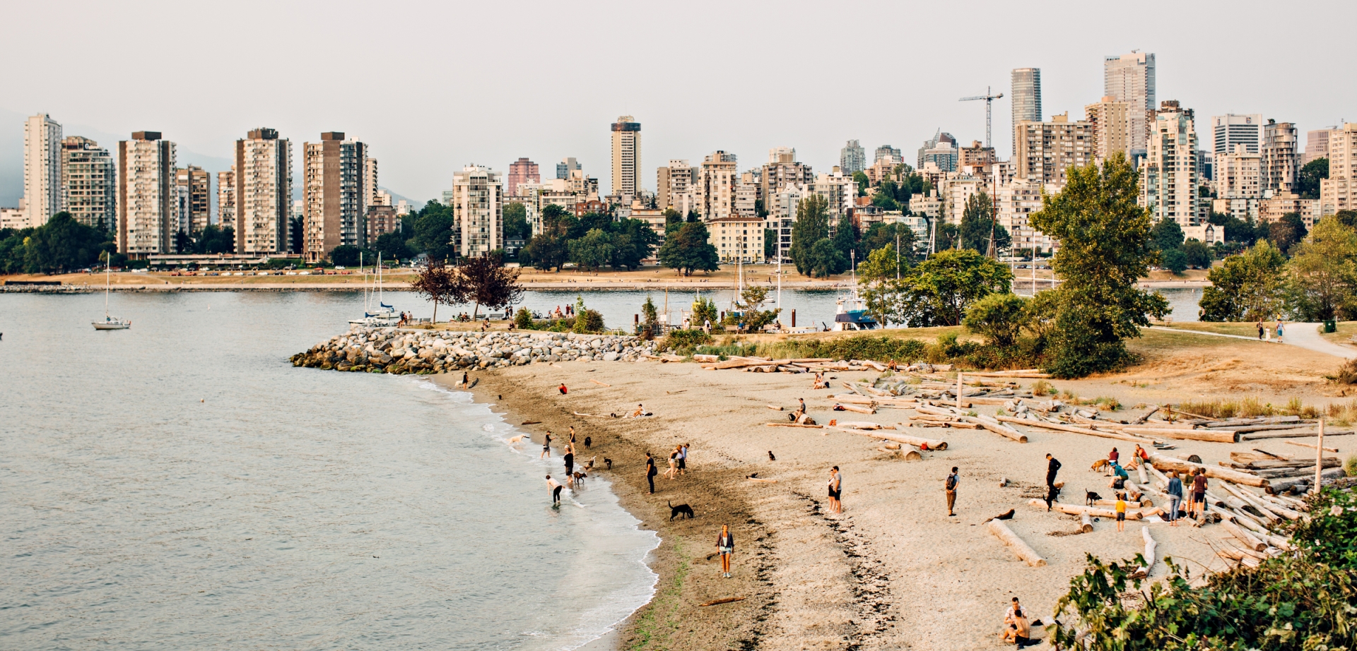 Dog beach at Kits beach | Image Destination Vancouver/Tanya Goehring