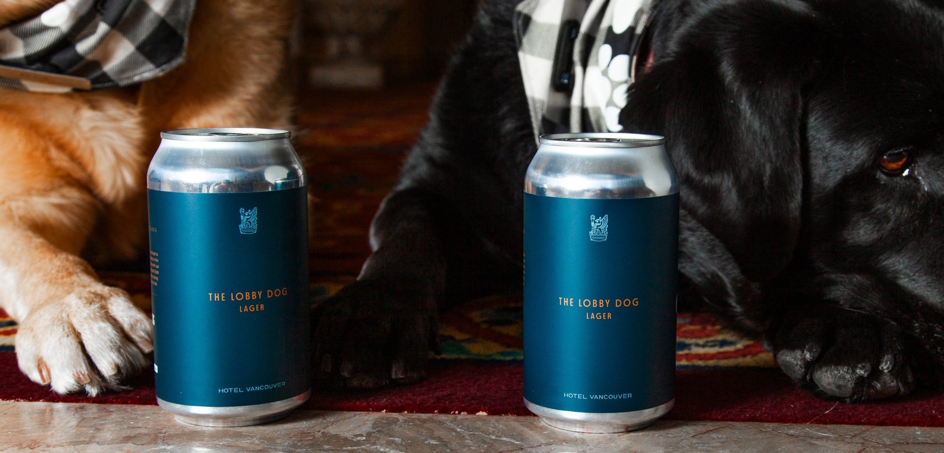 Canine Ambassadors Ellie and Ella pose with Lobby Dog Lager | Beer Collaboration with Yellow Dog Brewery