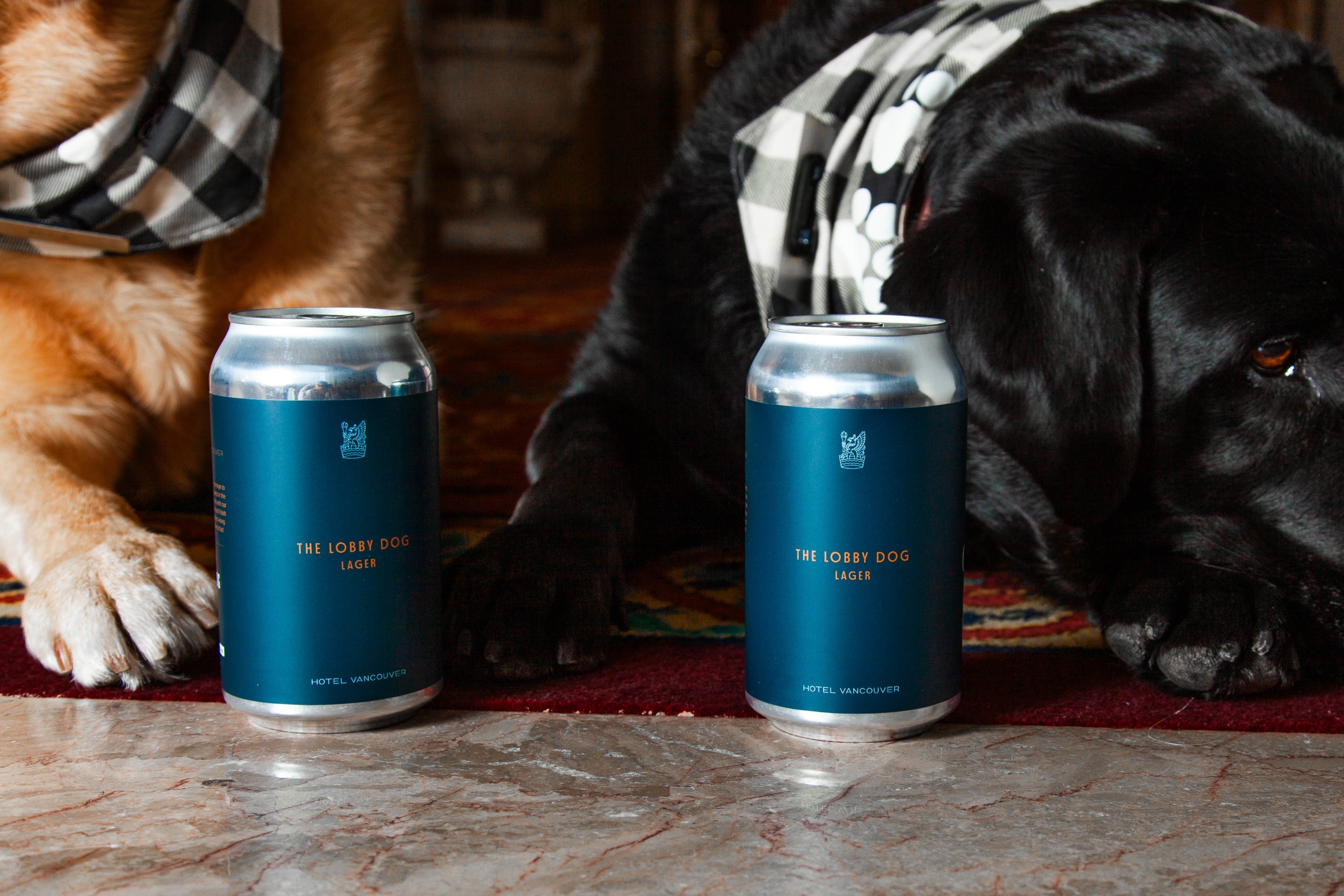 Canine Ambassadors Ellie and Ella pose with Lobby Dog Lager | Beer Collaboration with Yellow Dog Brewery