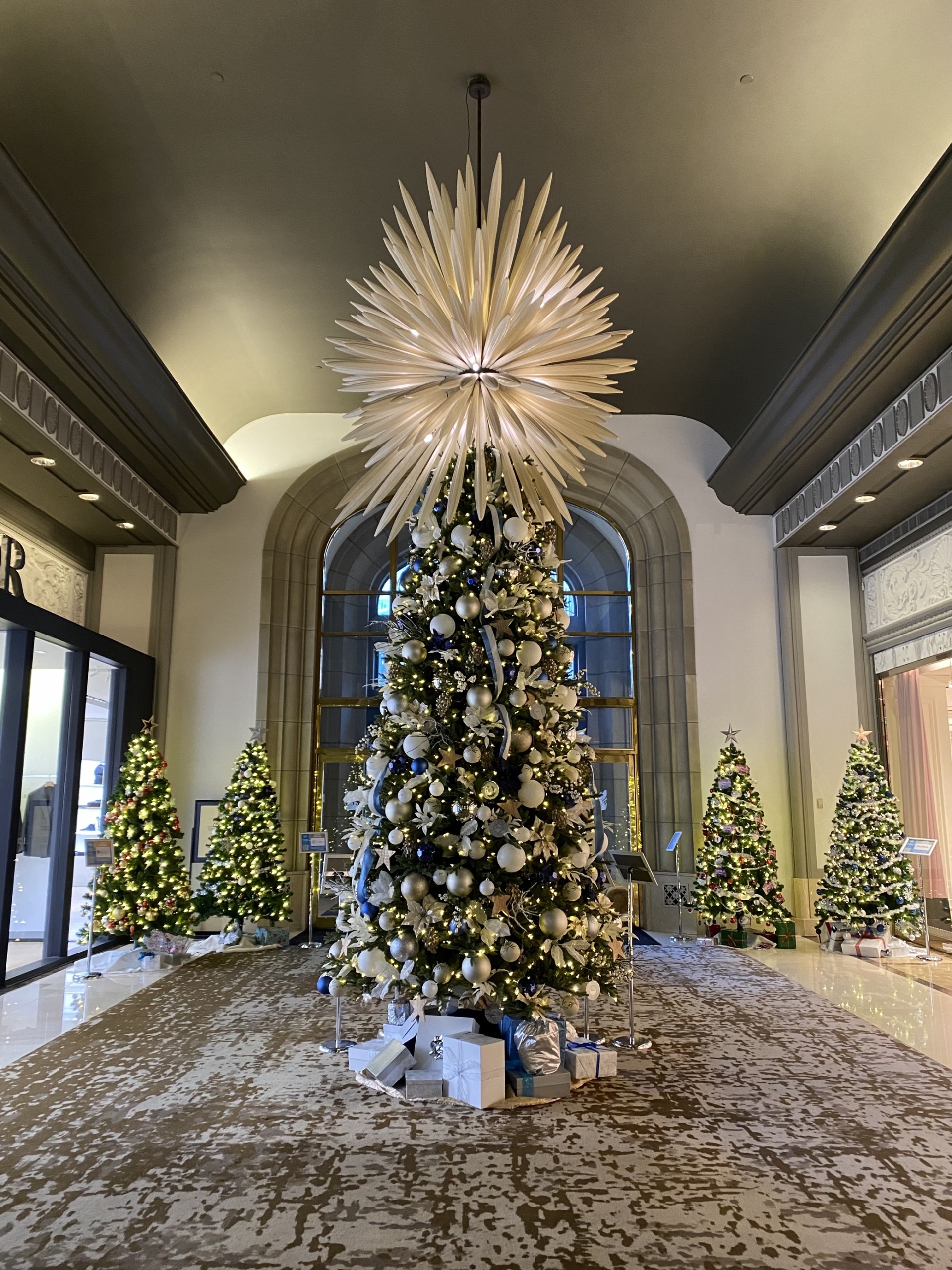 Magical vancouver christmas trees & display locations you need to see 61 Image