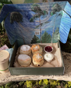 Picnic in the Park | Scones to Go at VanDusen Gardens by Notch8